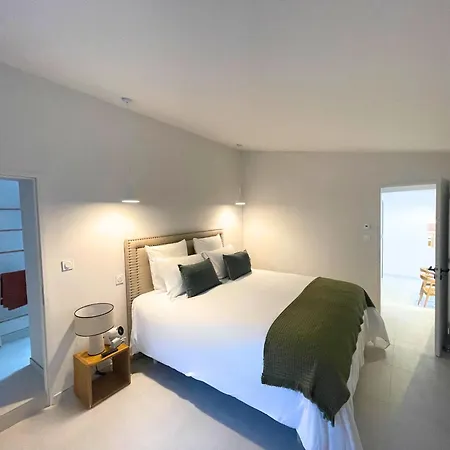 Villa Superbe Mazet Provencal Renove Nimes