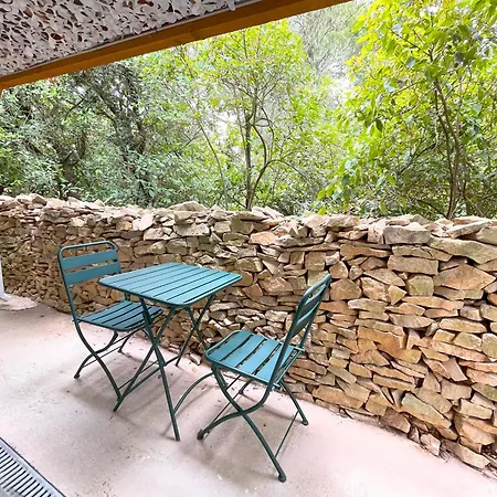 Superbe Mazet Provençal Rénové *